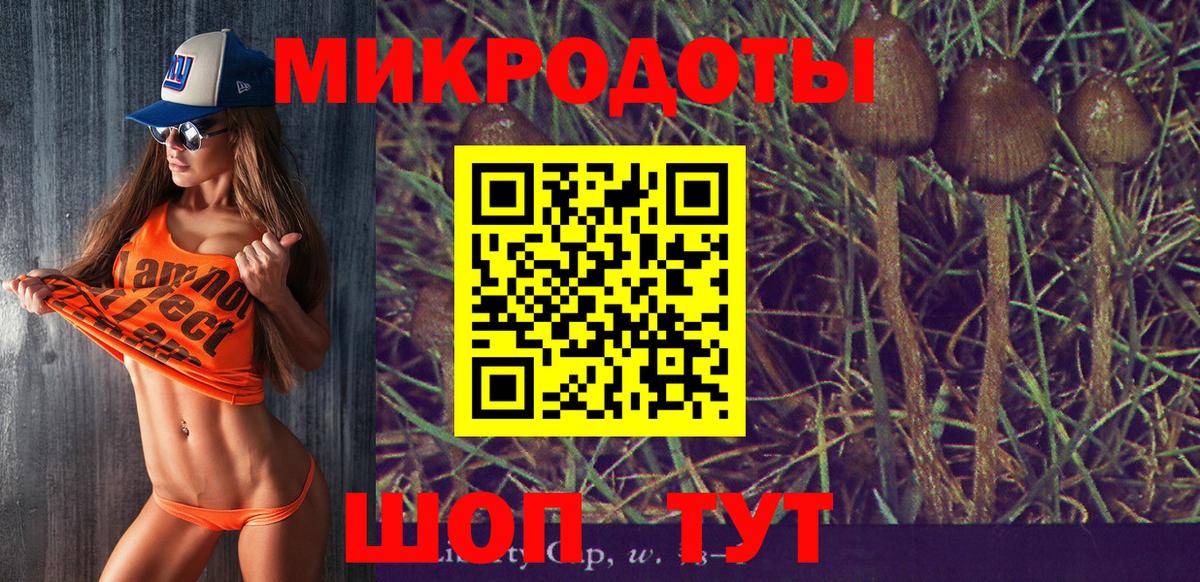 Псилоцибиновые грибы ЛСД Сургут