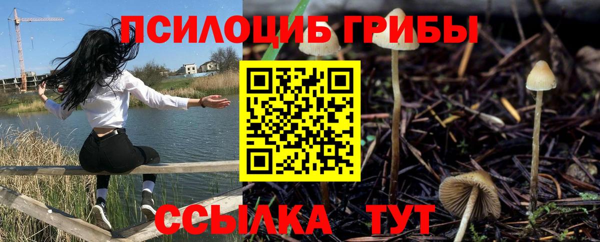 Псилоцибиновые грибы GOLDEN TEACHER  Вход с VPN  Сургут  Галлюциногенные грибы MAGIC MUSHROOMS 